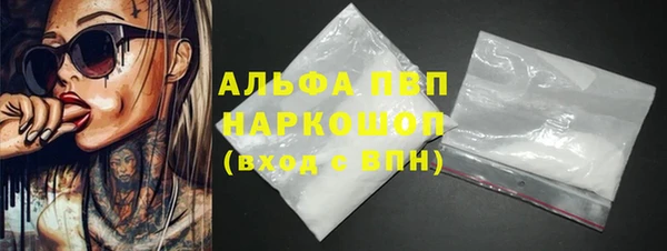 крисы Новокубанск