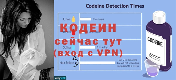 молекула духа Новозыбков