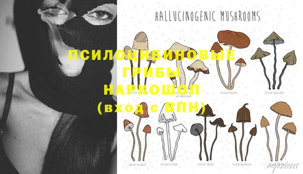 кокаин премиум Няндома