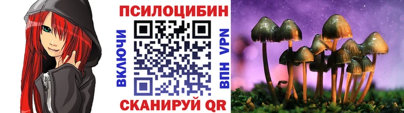 где найти наркотики  Бавлы  Галлюциногенные грибы мицелий 